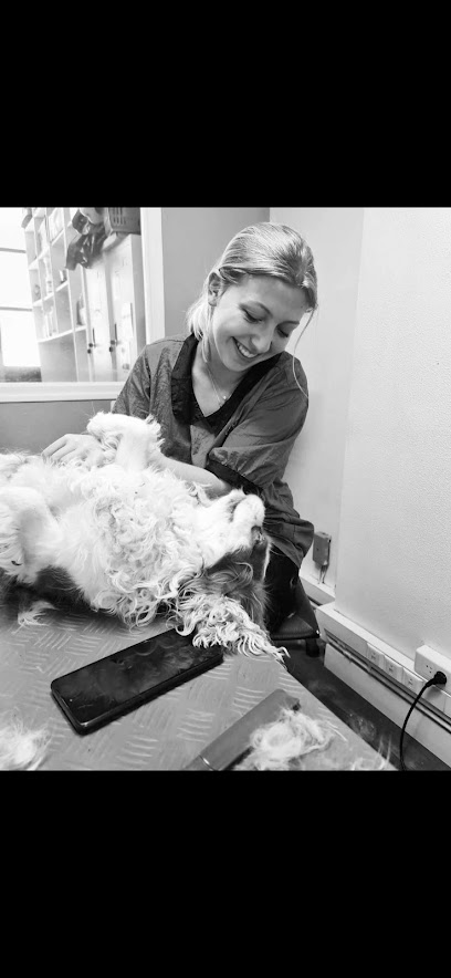 Royal Paws, Toiletteur Pour Animaux à Seiches-sur-le-Loir