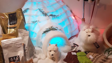 Le Chien Pimpant, Toiletteur pour Animaux à Pierre-Bénite