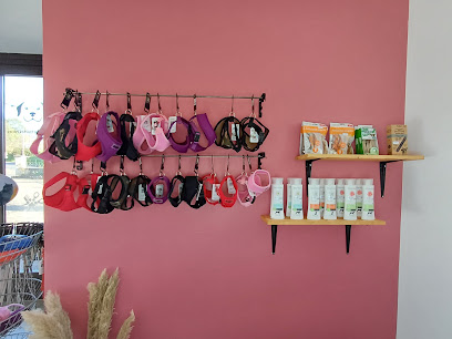 Pat À Chiens Toiletteur Pour Animaux à Fontannes