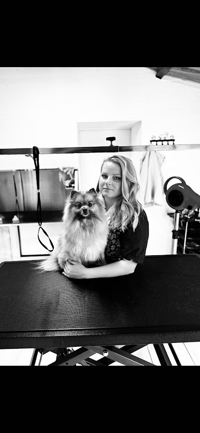 Pet's Angel Canin&Felin Toiletteur Pour Animaux à Touvois