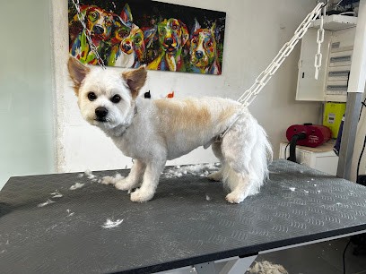 Le comptoir des poilus, Toiletteur pour Animaux à Cernay