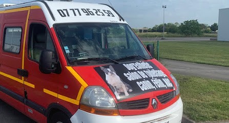 Dog Esthetic, Toiletteur pour Animaux à Nuits-Saint-Georges