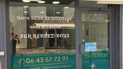 Les Aristochiens, Toiletteur pour Animaux à Istres