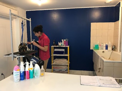 Passion Canine, Toiletteur pour Animaux à Laissac-Sévérac l'Église