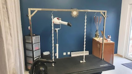 Atelier Woof, Toiletteur pour Animaux à Saint-Seurin-de-Cursac