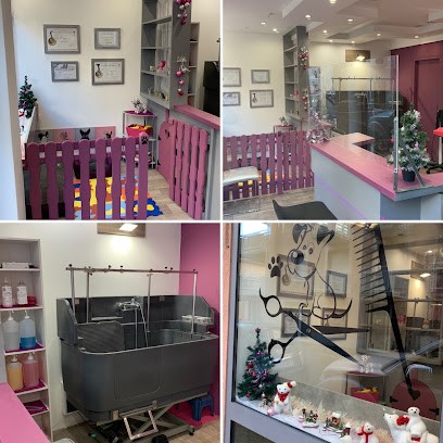 Élégance Canine, Toiletteur pour Animaux à Sallanches