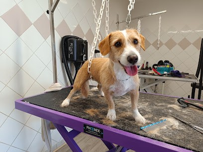 BUBULL'DOG, Toiletteur pour Animaux à Belleville