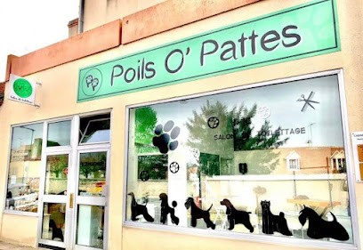 Poils O' Pattes, Toiletteur pour Animaux à Yzeure