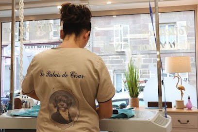 Le Palais De César, Toiletteur pour Animaux à Lure