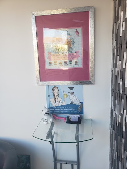 Dog City, Toiletteur pour Animaux à Aigues-Mortes