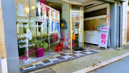 Arkanin, Toiletteur pour Animaux à Lusignan