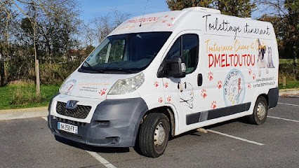 Toilettage Dmeltoutou, Toiletteur pour Animaux à Moulismes
