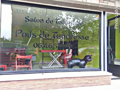Salon De Toilettage Poils De Tendresse, Toiletteur pour Animaux à Somain