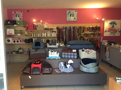 Côté Chien, Toiletteur pour Animaux à L'Île-Rousse