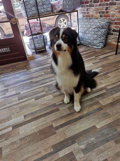 L'atelier du Toilettage by Manon, Toiletteur pour Animaux à Bernay