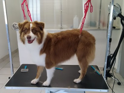 Herose Toilettage, Toiletteur pour Animaux à La Chapelaude