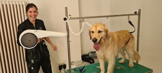 Amicanin Pauline Salon De Toilettage, Toiletteur pour Animaux à Pontivy