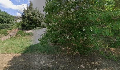 Chantal Toilettage, Toiletteur pour Animaux à Paradou