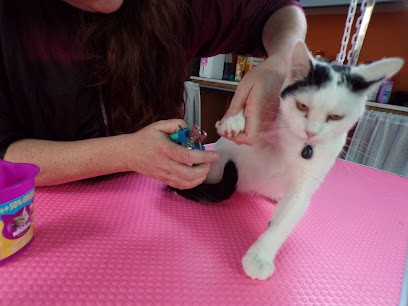 Aux Poilus Tout Doux, Toiletteur pour Animaux à Verneuil-en-Halatte