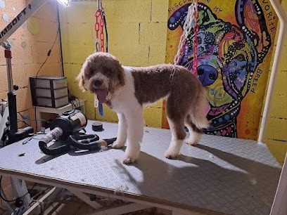 À l eau toutou, Toiletteur pour Animaux à Brevilliers