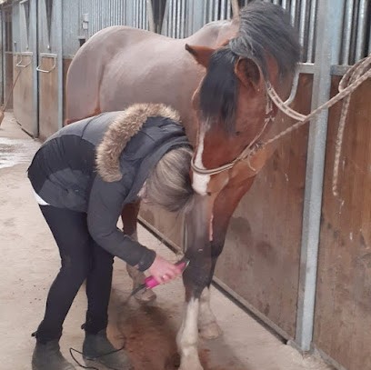 Au Cabotin, Toiletteur pour Animaux au Blanc