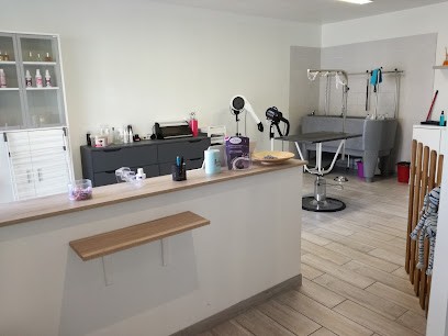 Salon de Toilettage Aux Mouss'Taches de Cherkan, Toiletteur pour Animaux à Montauban-de-Bretagne