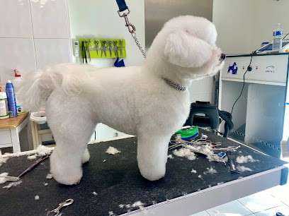 Aux Bulles Dog SARL, Toiletteur pour Animaux à Aimargues