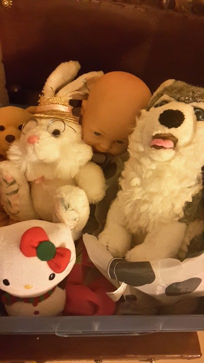 Szymkowiak Royer Isabelle, Toiletteur pour Animaux à Ussel