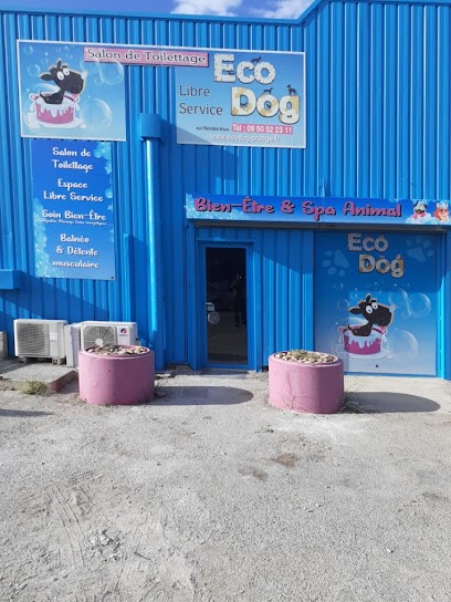 ECO DOG, Toiletteur pour Animaux à Orange