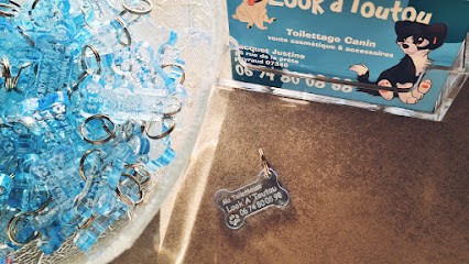 Look'à'Toutou, Toiletteur pour Animaux à Peyraud