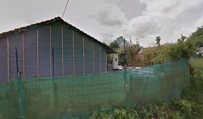 Toilettage Canin & Félin à Saint Nicolas De La Taille, Toiletteur pour Animaux à Saint-Nicolas-de-la-Taille