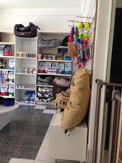 ATOUT POILS, Toiletteur pour Animaux à Roquebrune-Cap-Martin