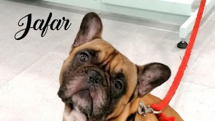 La Chaize O'Poils, Toiletteur pour Animaux à La Chaize-Giraud