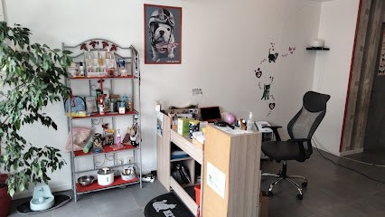 séduction canine, Toiletteur pour Animaux à Bretteville