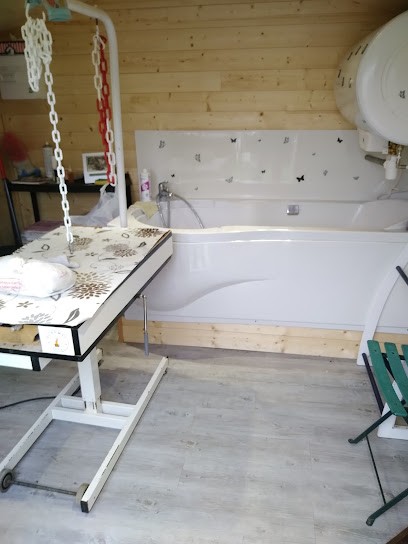 Le Toutou Tendresse, Toiletteur pour Animaux à Dannemois