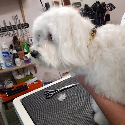 Chien Chat Chic, Toiletteur pour Animaux à Herbignac