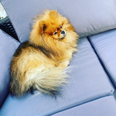 Ami’Nimaux Garde D'animaux Et Toilettage, Toiletteur pour Animaux à Sciez