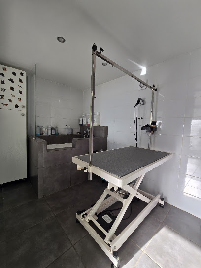 Toilettage Canin - Besse Sur Issole, Toiletteur Pour Animaux à Besse-sur-Issole