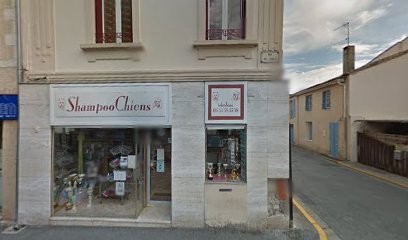 Shampoochiens, Toiletteur pour Animaux à Eymet