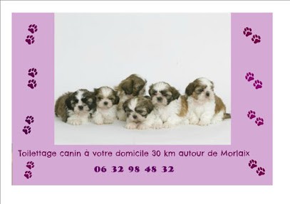 Domi-Canin, Toiletteur pour Animaux à Plougonven