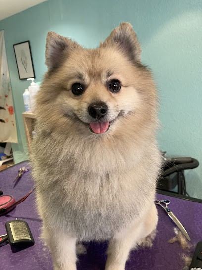 Pattes En Rond, Toiletteur pour Animaux à Saverne