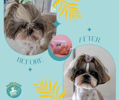 SARL POPPYLAND, Toiletteur pour Animaux à Vineuil