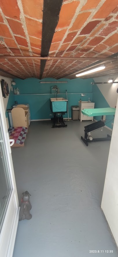 Lilie Dog, Toiletteur pour Animaux à Tracy-sur-Loire