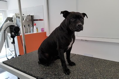 FAYA DOGS, Toiletteur pour Animaux à Lunel-Viel