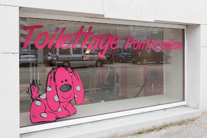 Toilettage Pontissalien, Toiletteur pour Animaux à Pontarlier