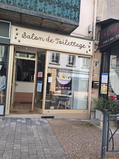 100 Boules De Poils, Toiletteur Pour Animaux à Cours