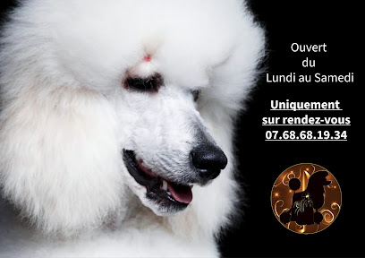 Chien Chic En Harmonie Toiletteur Pour Animaux à Manosque