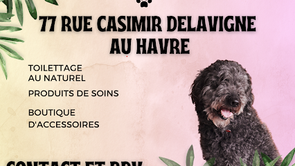 Hippie Dog - Toilettage Au Naturel Toiletteur Pour Animaux au Havre