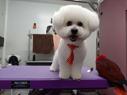 Krys'dog Toilettage, Toiletteur Pour Animaux à Roussy-le-Village