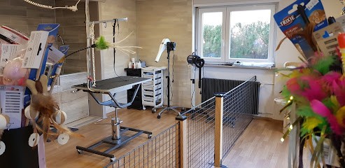 Toiletteur Anima Look Rohrbach Lès Bitche, Toiletteur pour Animaux à Rohrbach-lès-Bitche